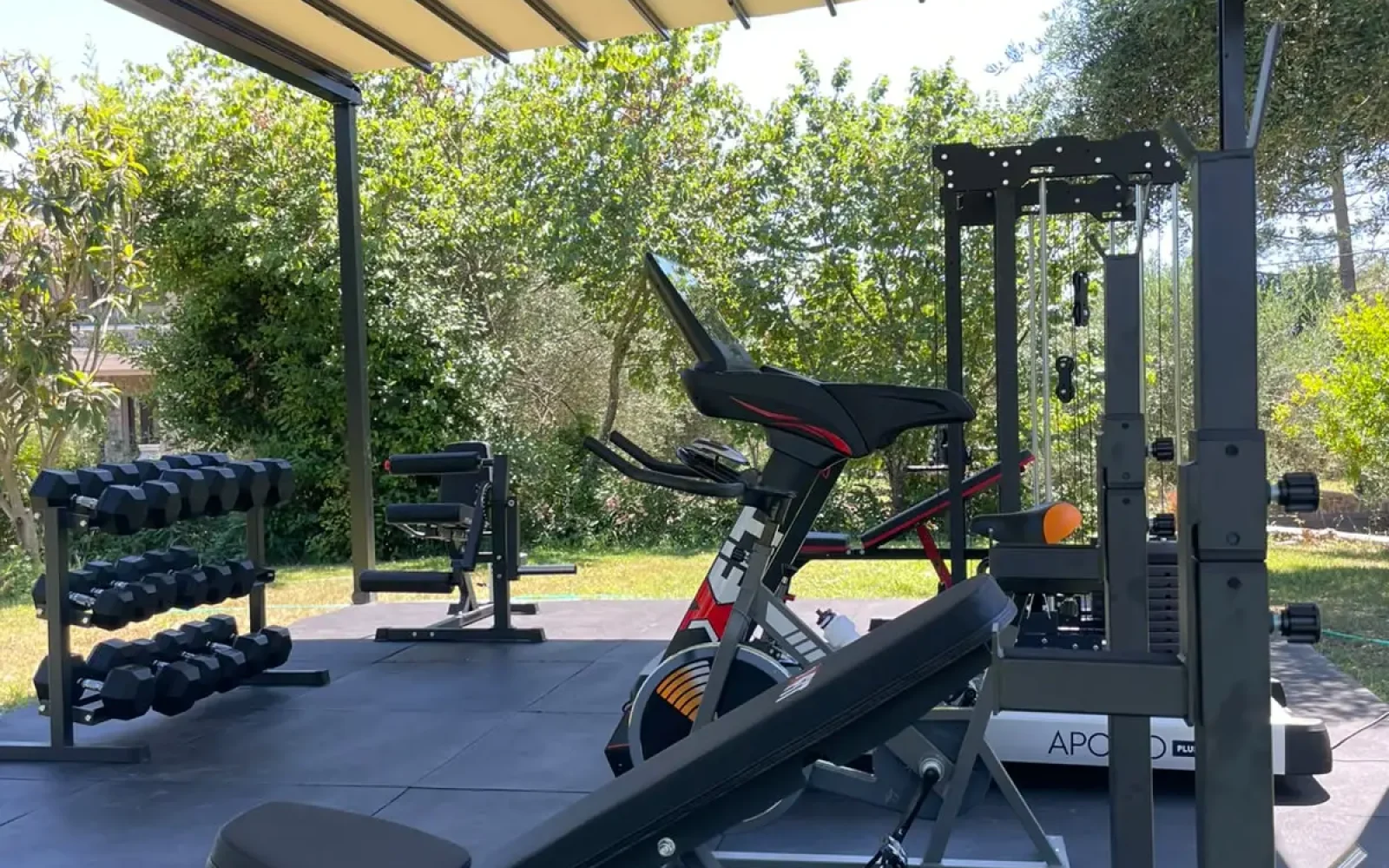 Gym 3 Gym 3